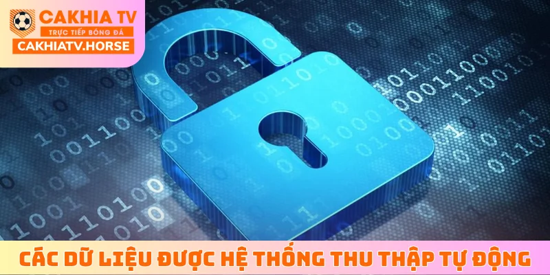 Các danh mục dữ liệu được hệ thống thu thập tự động