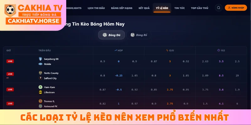 Các loại tỷ lệ kèo nên xem phổ biến nhất hiện nay