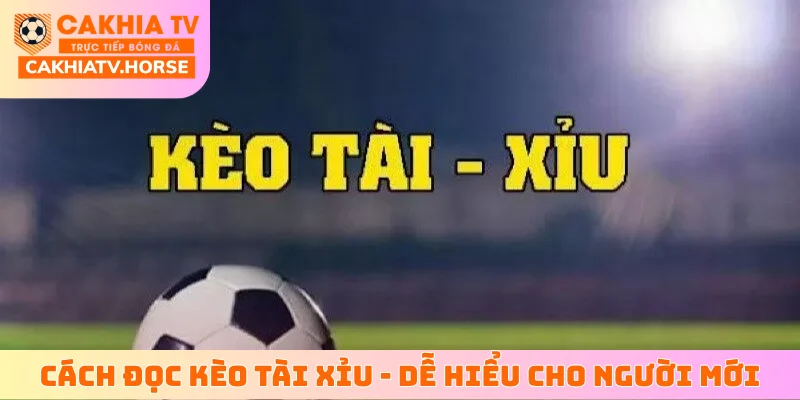 cách đọc kèo tài xỉu