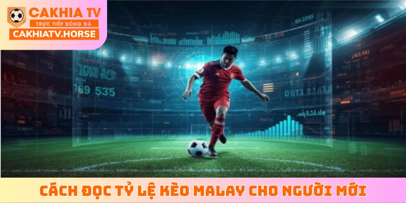 Cách đọc tỷ lệ kèo Malay cho người mới