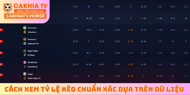 Cách xem tỷ lệ kèo chuẩn xác dựa trên dữ liệu thực tế