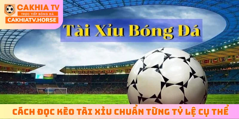 Chi tiết về cách đọc kèo tài xỉu chuẩn từng tỷ lệ cụ thể