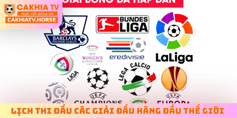 Lịch thi đấu các giải đấu hàng đầu thế giới hiện nay