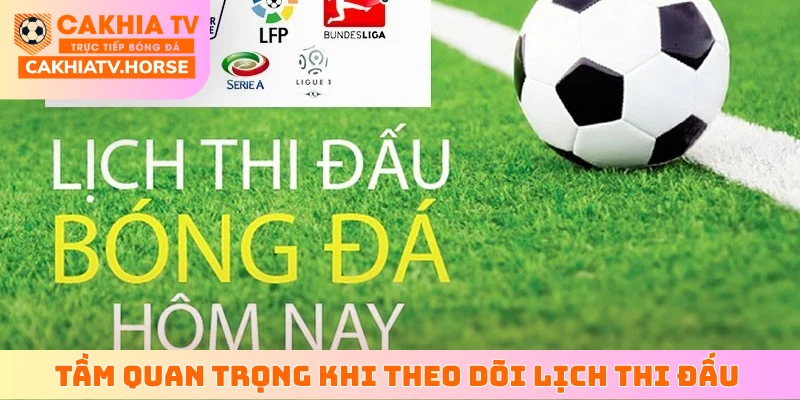 Tầm quan trọng khi theo dõi lịch thi đấu bóng đá nhanh
