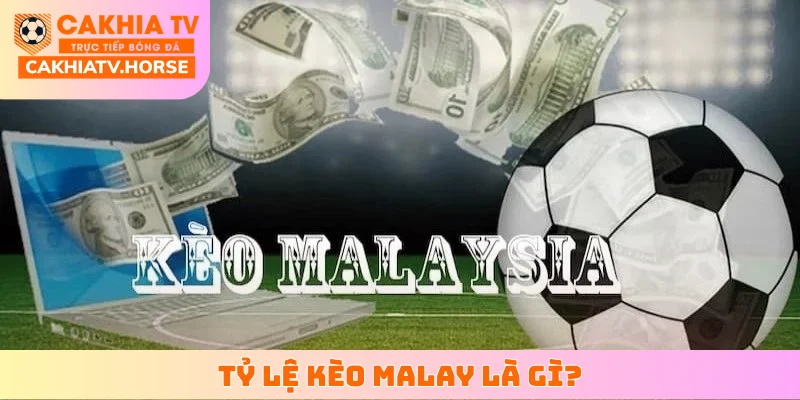 Tỷ lệ kèo Malay là gì?